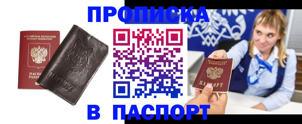 где прописаться в Мончегорске